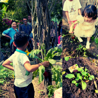Plant & Pick Experience